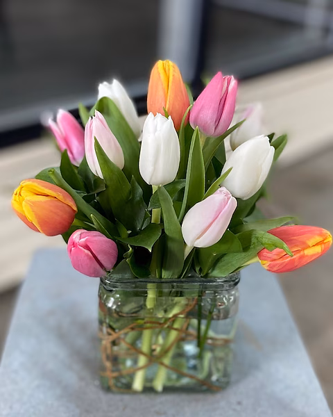 Tulips